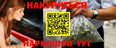 крисы Моздок