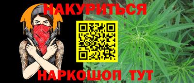 крисы Моздок