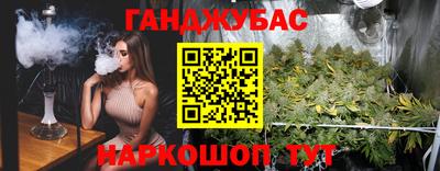 крисы Моздок