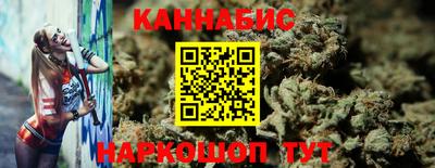 крисы Моздок