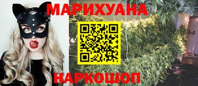 крисы Моздок