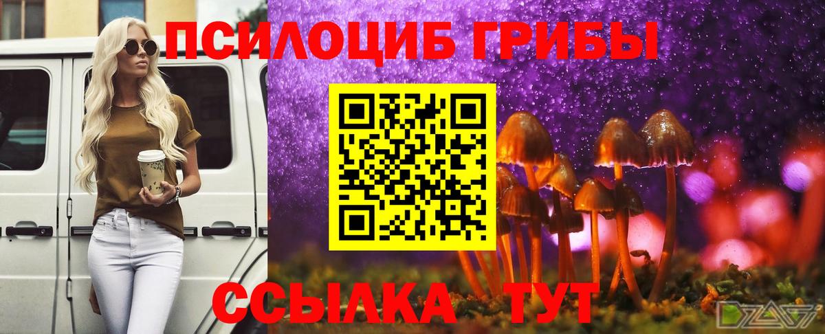 Галлюциногенные грибы Cubensis  Вход с VPN  магазин  наркотиков  Шали 
