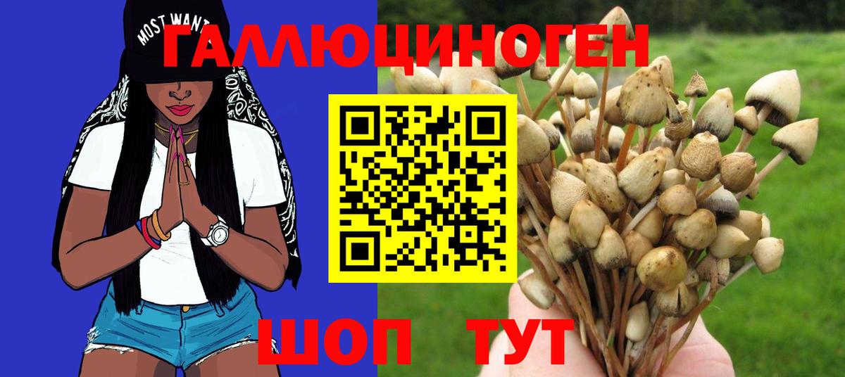Псилоцибиновые грибы прущие грибы Шали